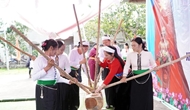 Five new intangible cultural heritage elements added to national list